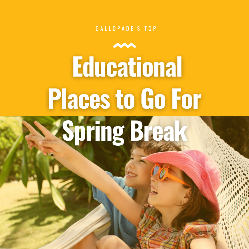 Educational Places to Go For Spring Break