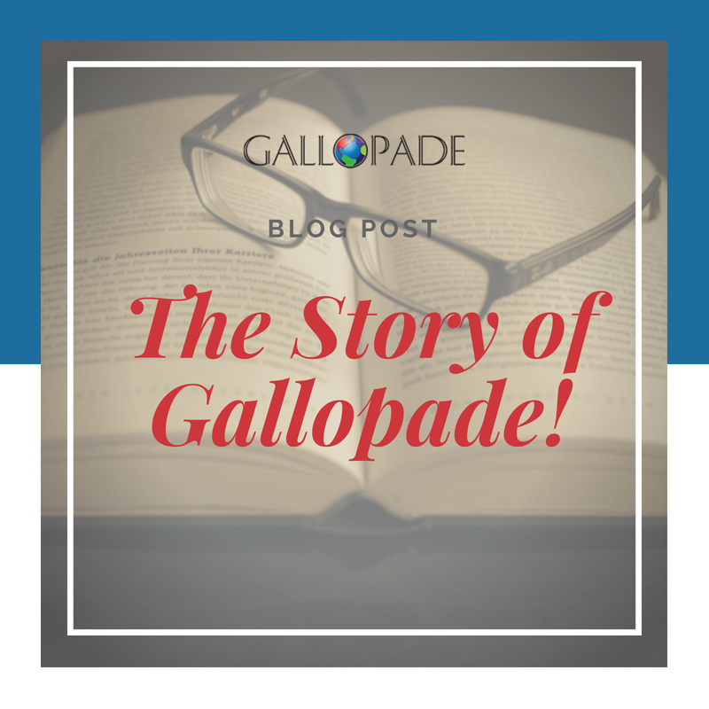 The Story of Gallopade